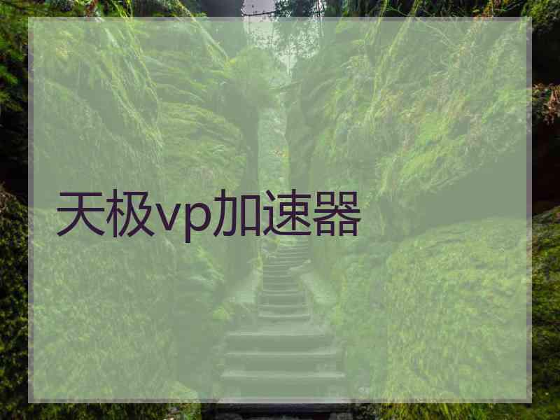 天极vp加速器