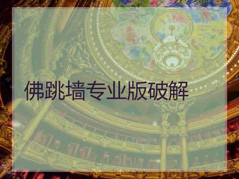 佛跳墙专业版破解