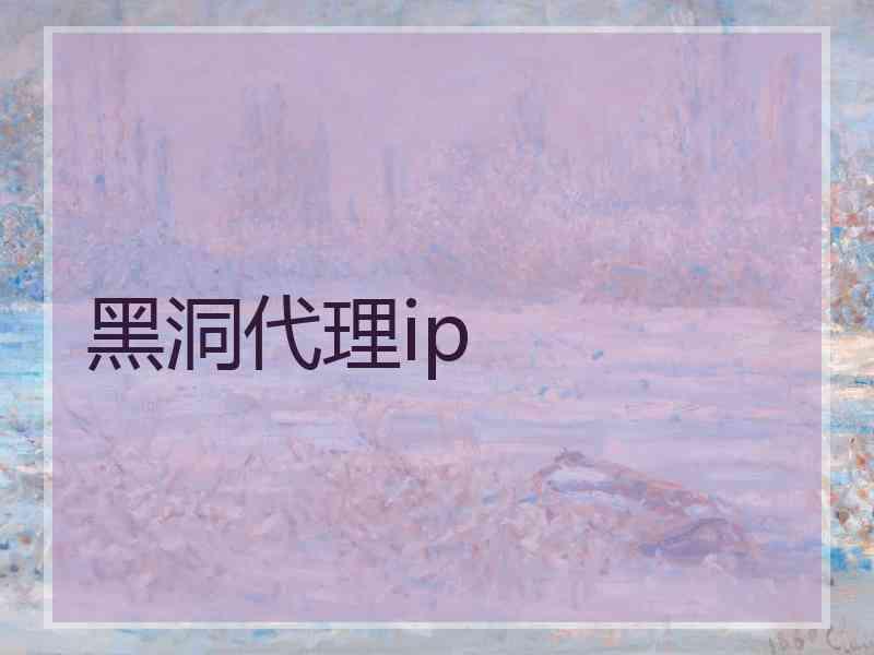 黑洞代理ip