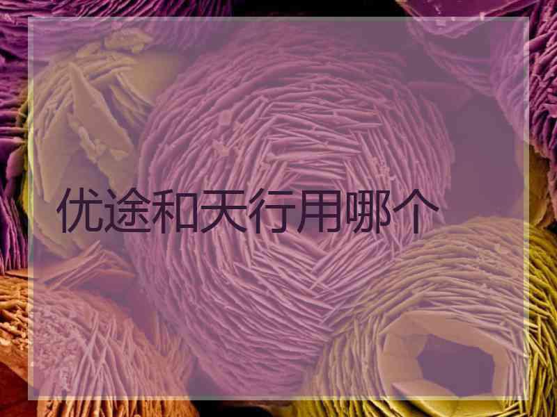 优途和天行用哪个