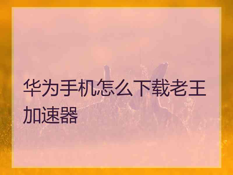 华为手机怎么下载老王加速器