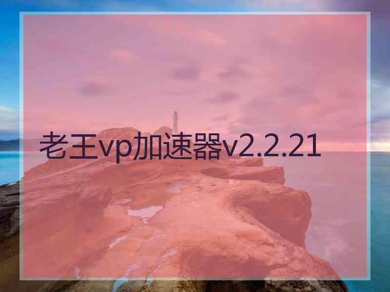 老王vp加速器v2.2.21