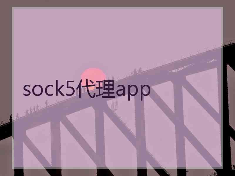 sock5代理app