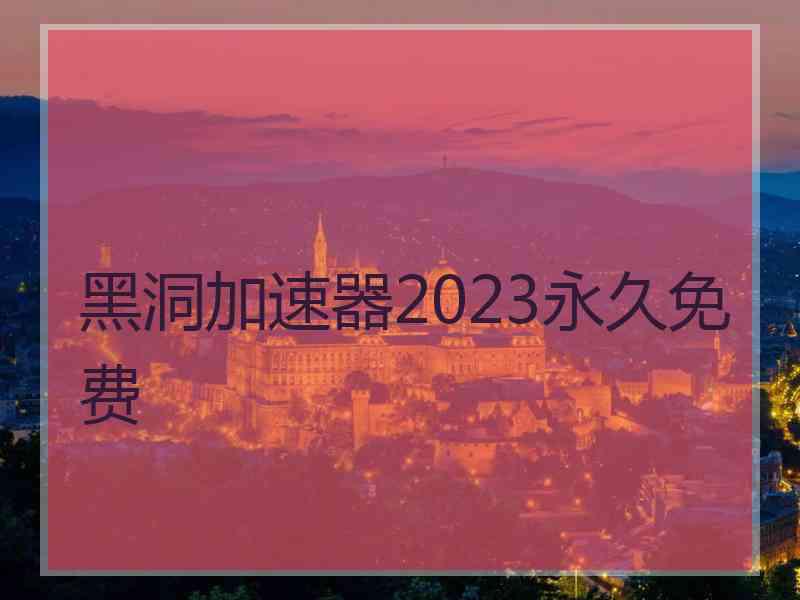 黑洞加速器2023永久免费