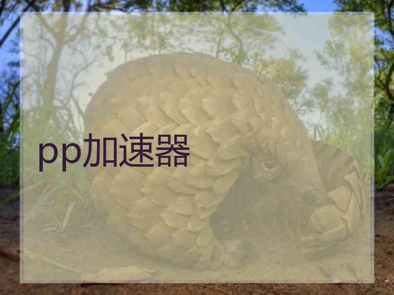 pp加速器