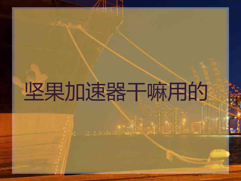 坚果加速器干嘛用的