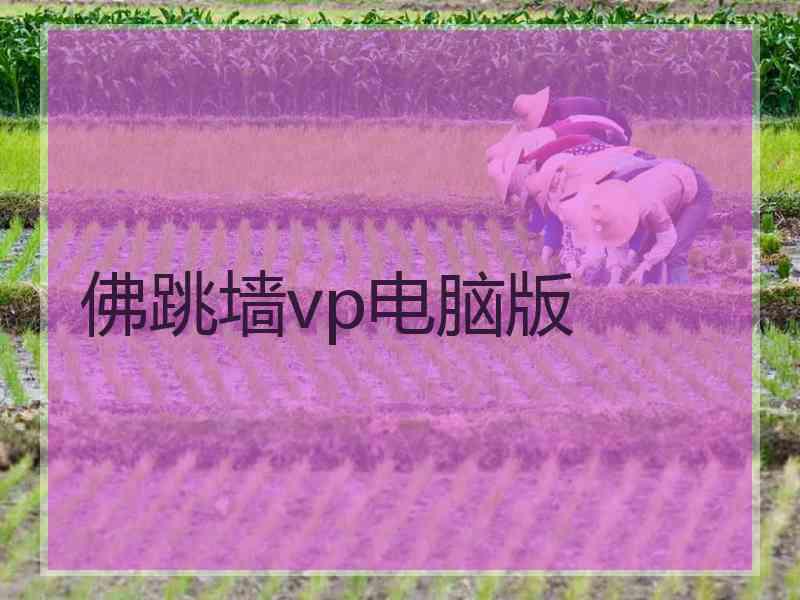 佛跳墙vp电脑版
